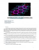 INTRODUCCIÓN A LA ENDOCRINOLOGIA.