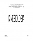 Kinesiologia PROGRAMA: EDUCACION. MENCION: E.F.R.E.D