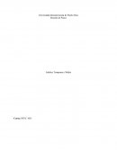 A que se le llama la Adultez temprana