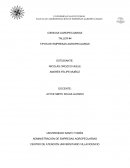 TIPOS DE EMPRESAS AGROPECUARIAS