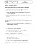 Preguntas. orígenes y washoe