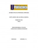 Informe de practica gerencia de negocios Autonomía y Disciplina