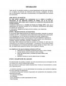 ETAPA I: DELIMITACIÓN DE LOS OBJETIVOS. Introducción