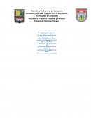 Gaceta Oficial N°38263 Requisitos para el otorgamiento de la reserva de denominación y constancia de inscripción a las asociaciones cooperativas y organismos de integración.