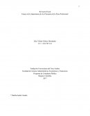 Ensayo de la Importancia de los Principios de la Ética Profesional