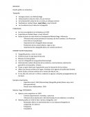 Ejemplo de los Apuntes Bauhaus