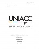 Presupuesto Maestro: Presupuestos del Estado de Resultados