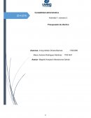 Presupuesto de Efectivo ensayo