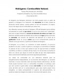 Ejemplo de las Celdas de hidrogeno