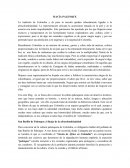 ENSAYO HACÍA PALENQUE