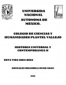 Trabajo sobre la obra ESTA VIDA SIDA RISA