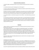 EL buen Trabajo practico internacional provado cafes la virginia