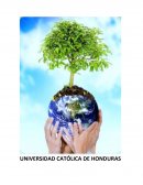 Desarrollo de la Ingenieria aMBIENTAL