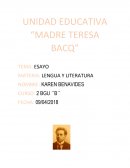 TEMA: ESAYO LENGUA Y LITERATURA