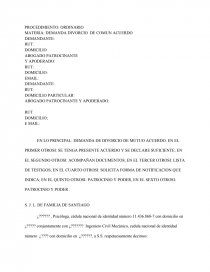 Formato divorcio mutuo acuerdo. Página 1