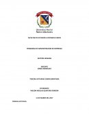 PROGRAMA DE ADMINISTRACION DE EMPRESAS GESTION HUMANA