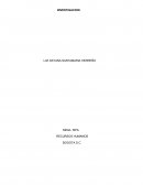 Trabajo - La investigación Científica