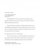 EJUEMPLO DE UNA SOLICITUD COPIAS