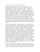 Estándar de Competencias Testing Program Excel 2013 | Academic