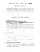 El Desarrollo de la Visión