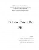 Detector Casero De PH