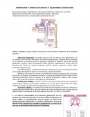 SEMINARIO 9: FISIOLOGÍA RENAL Y EQUILIBRIO ÁCIDO-BASE.