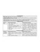 Planeacion de auditoria COMERCIALIZADORA XYZ S.A.