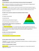 Derecho parcial 1. Cómo definimos a una ley y cómo funciona la estructura básica de promulgación?