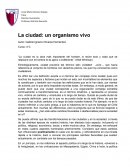 La ciudad a través de la historia