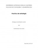 ANALISIS DE LAS OPORTUNIDADES