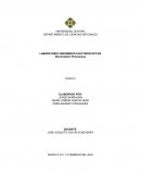 LABORATORIO FENÓMENOS ELECTROSTÁTICOS