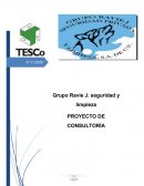 PROYECTO DE CONSULTORÍA