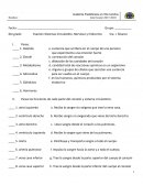 Sistemas Circulatotio, Nervioso y Endocrino