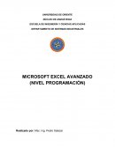 MICROSOFT EXCEL AVANZADO (NIVEL PROGRAMACIÓN)