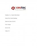 ¿Por qué el huracán Mitch causó tantos estragos en Honduras?