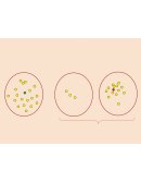 MEDIDAS DE TENDENCIA CENTRAL Y DISPERCION