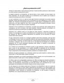 ¿Qué es protección civil?