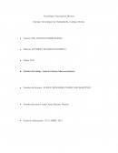 Pib agregado. Macroeconomia