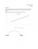 Dinamica sistemas. Velocidad