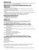 PROCESOS Y CAUSAS DE FORMACION DE “LAS ARRUGAS”