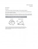 Caso Samsung Revisa la lectura Systems Thinking Tools