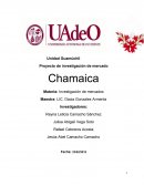 Investigación de mercados (Chamaica)