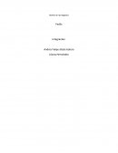 Diseño de red logística FedEx