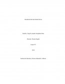 La Contaminación De los Ríos Descripción Del Problema