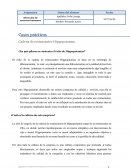 Casos prácticos. Cadena de restaurantes Hippopotamus