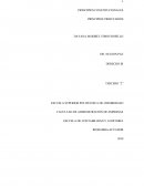 PRINCIPIOS CONSTITUCIONALES PRINCIPIOS TRIBUTARIOS