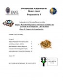 Efectos que conlleva la aplicación de ácido salicílico en plantas durante su etapa de crecimiento