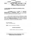 DESISTIMIENTO DE LA INSTANCIA JUICIO EJECUTIVO MERCANTIL (FORMATO; MACHOTE)