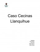 Caso Cecinas Llanquihue