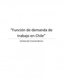 Función de demanda de trabajo en Chile